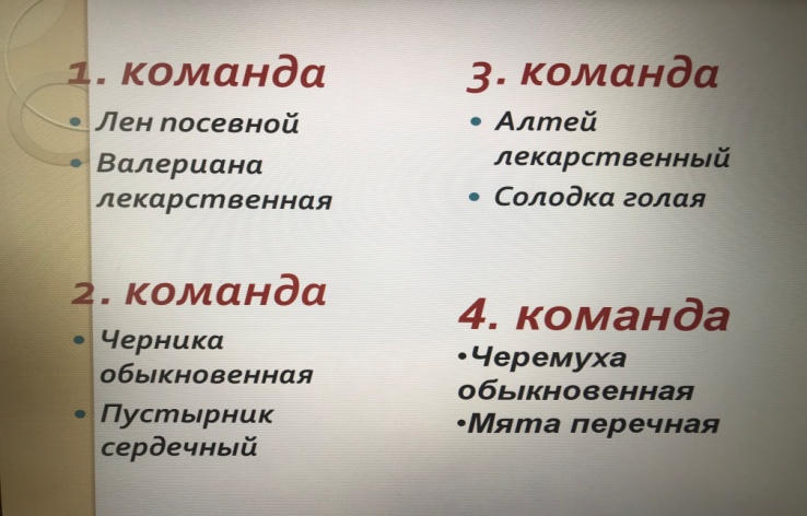 Декада  специальности «Фармация».  Конкурс «Брейн-ринг»