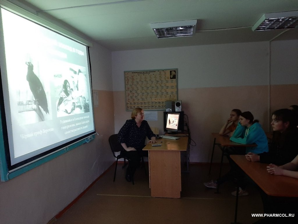 Открытое занятие «Освобождение Ленинграда от фашистской блокады». Шаг №6