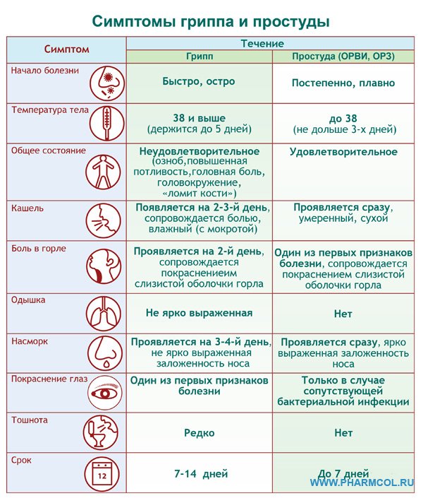 Внимание, студентам!