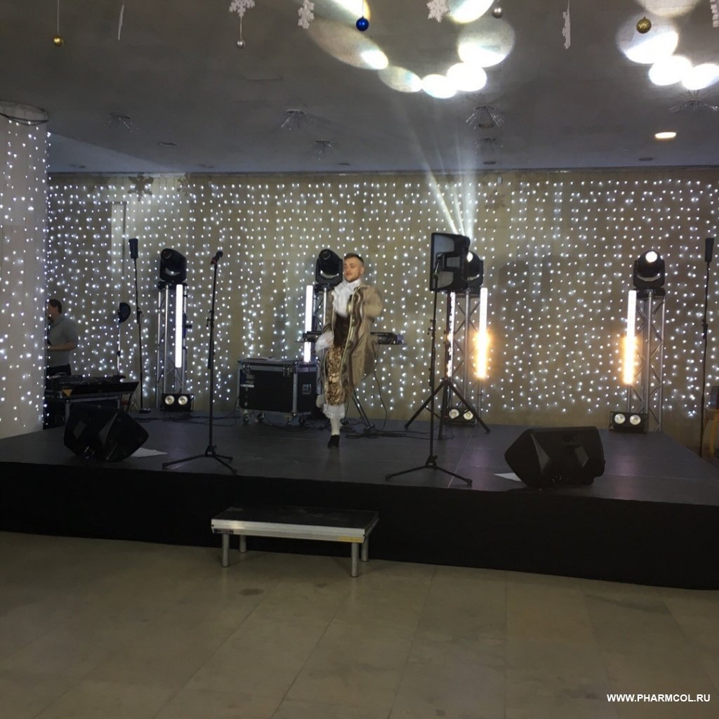 Губернаторский бал