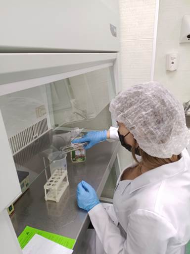 Региональный  чемпионат по профессиональному мастерству «Профессионалы» по компетенции «Лабораторный медицинский анализ»