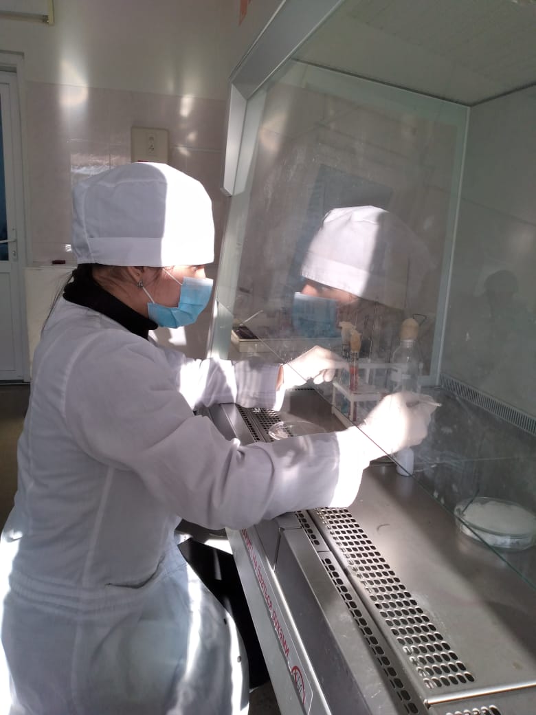 Декада инвалидов. Фотовыставка «Я горжусь своей профессией»