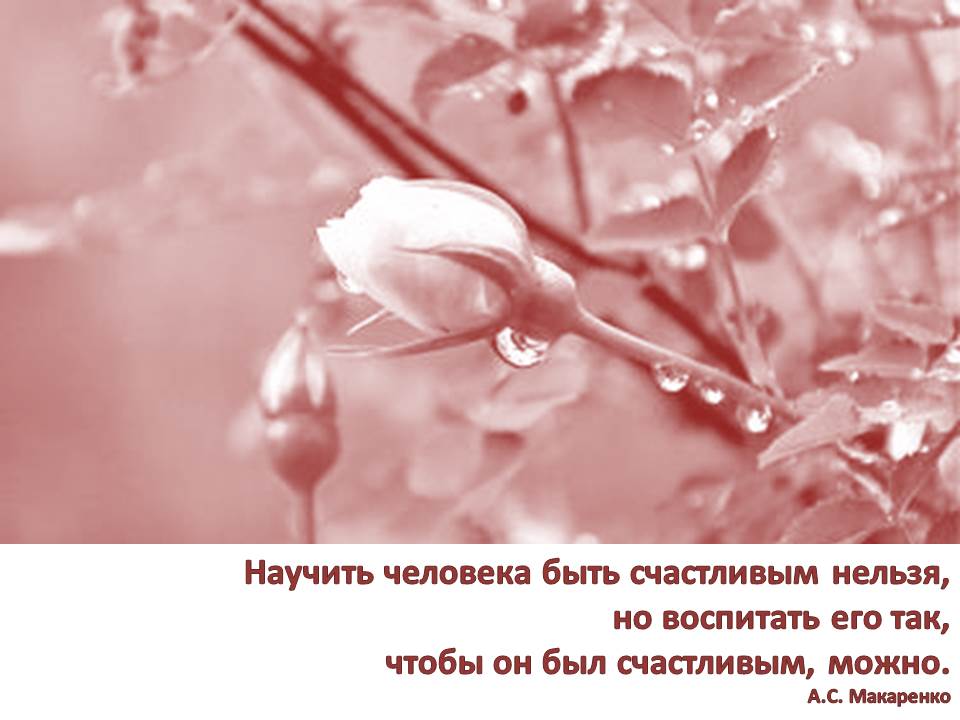 #Год педагога и наставника. Виртуальная выставка, посвящённая отечественным педагогам