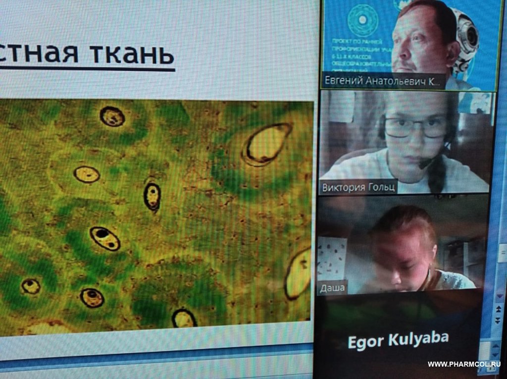 Фестиваль профессий «Билет в будущее»