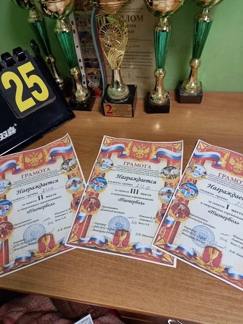 Соревнования  по пионерболу