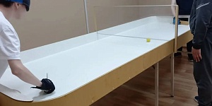 Декада  инвалидов. Спортивные  соревнования по настольному теннису