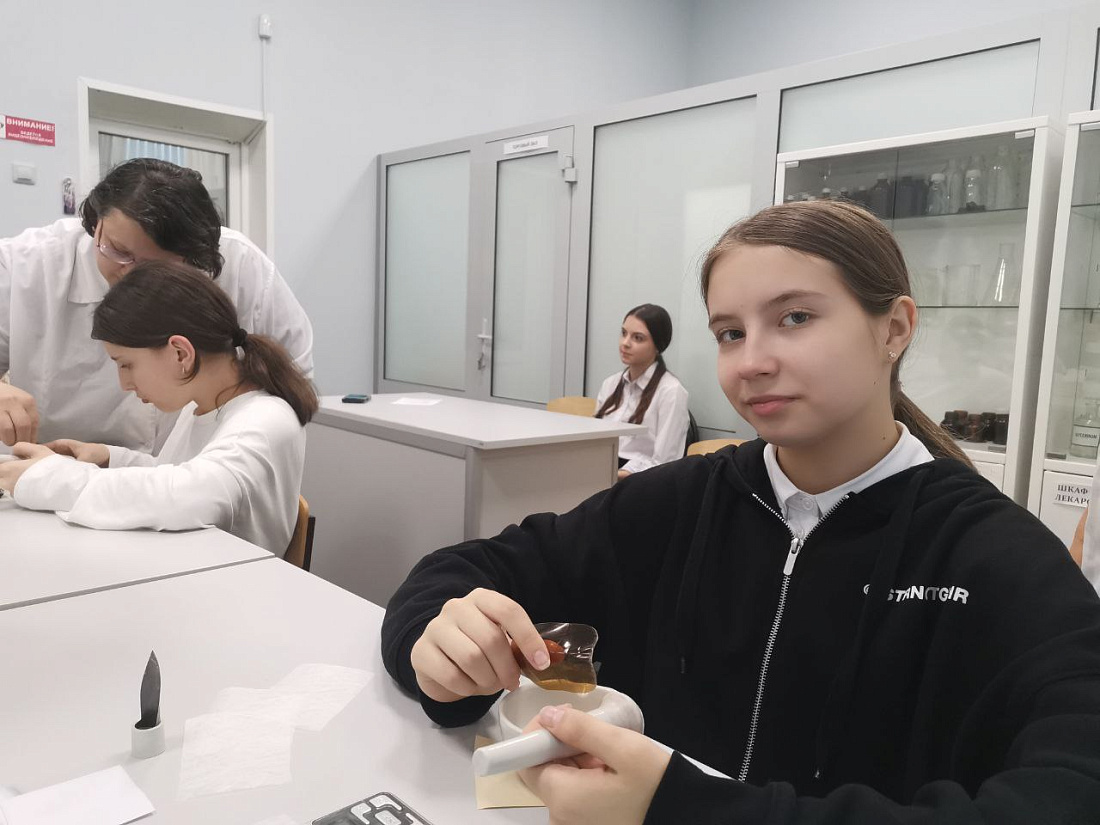 Федеральный проект «Билет в будущее». Профессиональная  проба «Фармацевт» 