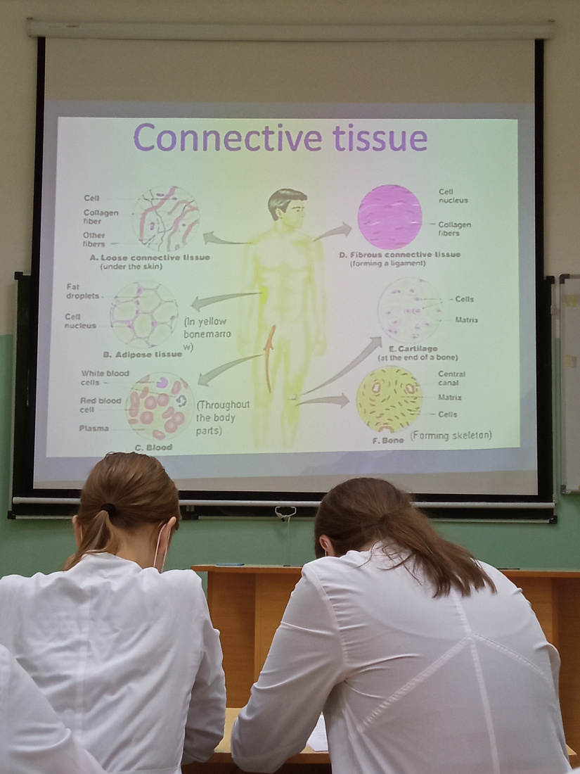 Открытое  занятие по английскому языку на тему «Ткани»