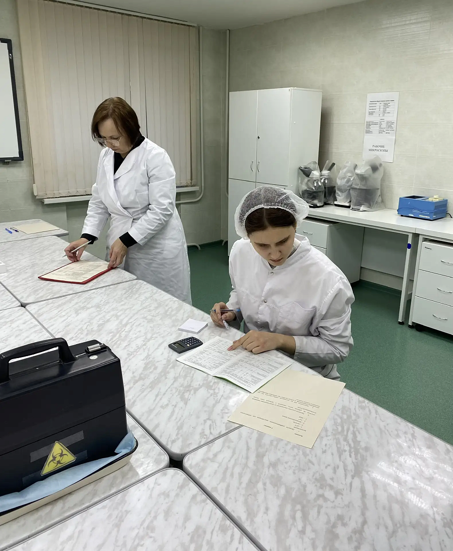 Отборочный этап регионального чемпионата по профессиональному мастерству «Профессионалы» 