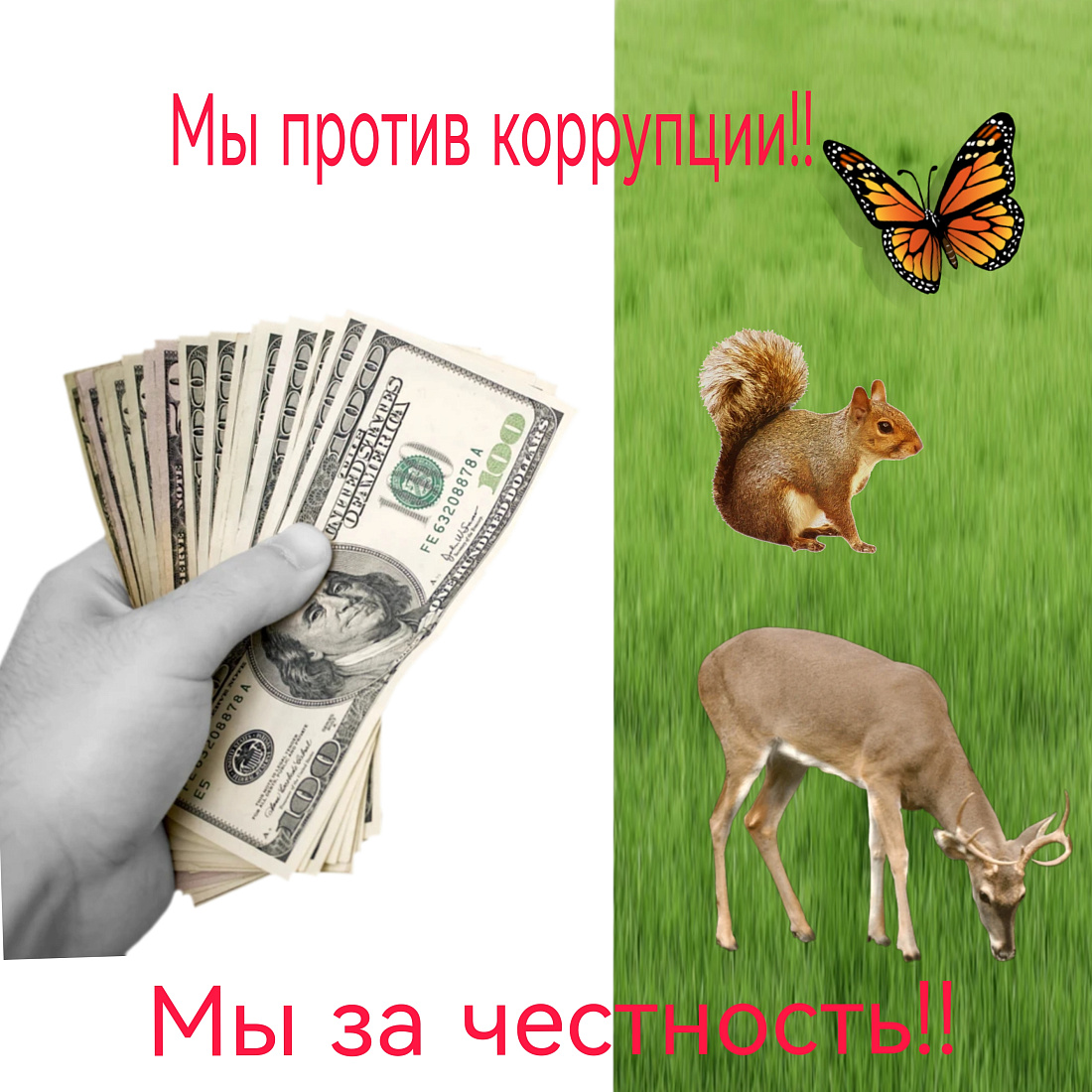 Подведены итоги конкурса «НЕТ КОРРУПЦИИ!»