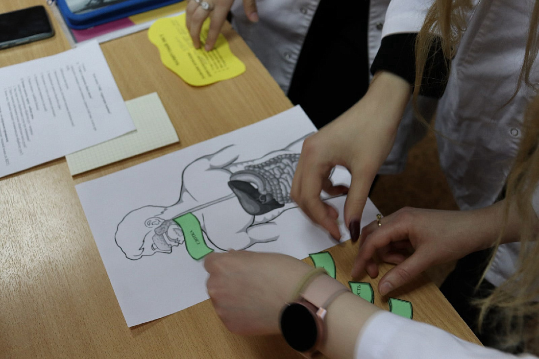  Агит-поезд: «УФК-территория здоровья!»