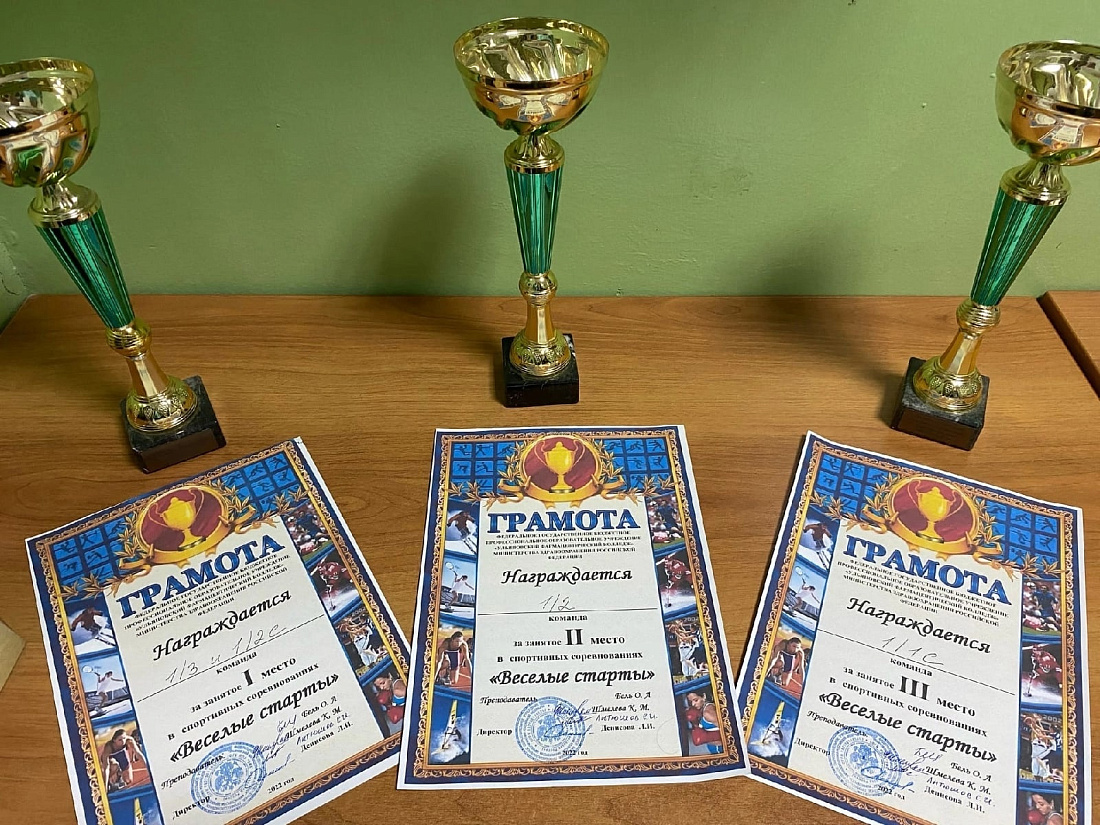 Спортивные соревнования «Веселые старты»
