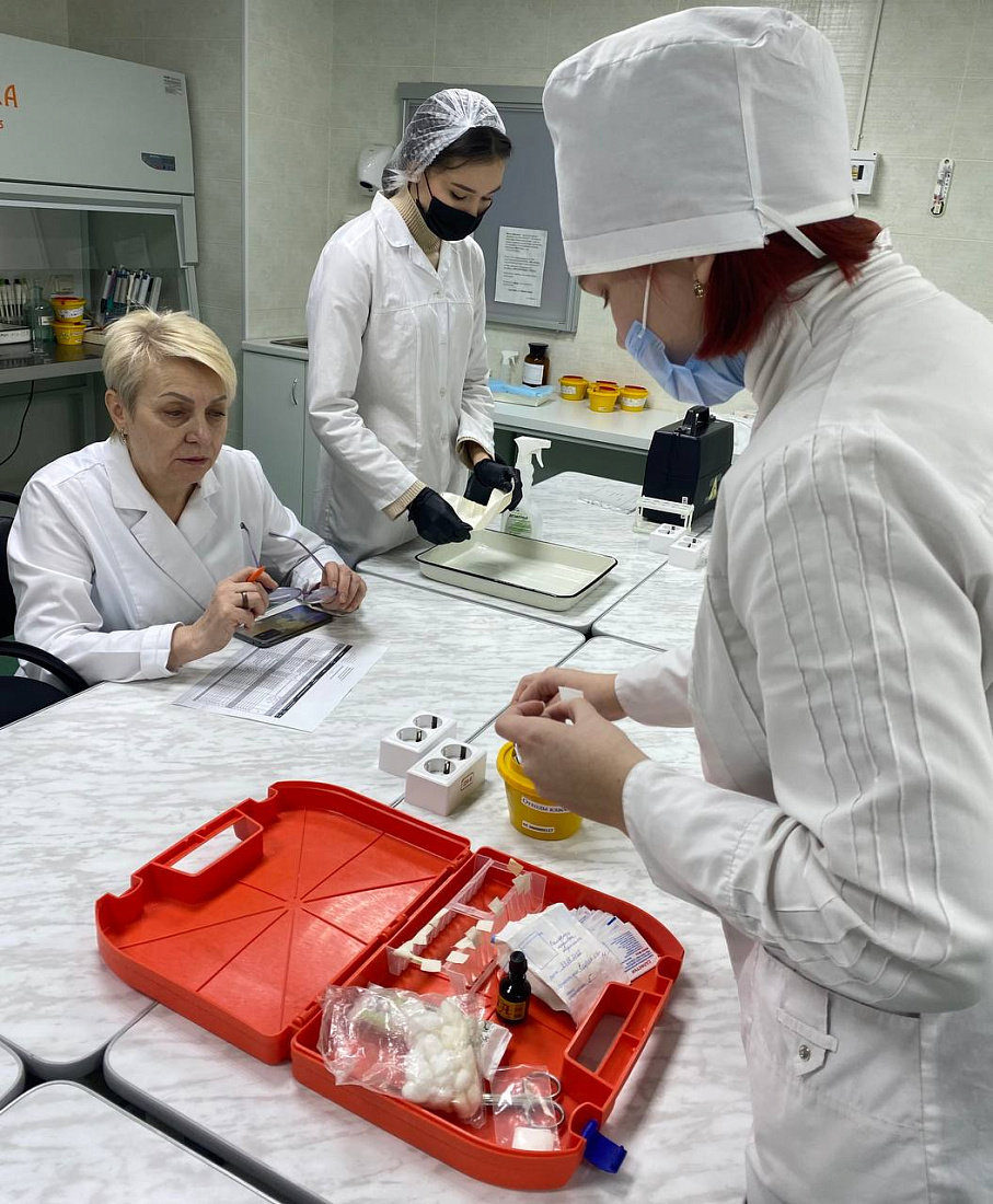 Отборочный этап регионального чемпионата по профессиональному мастерству «Профессионалы» 