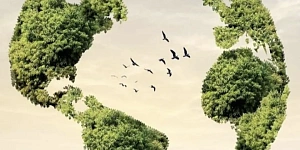 Твоё творчество — на благо экологии: конкурс «Окружающий нас мир»