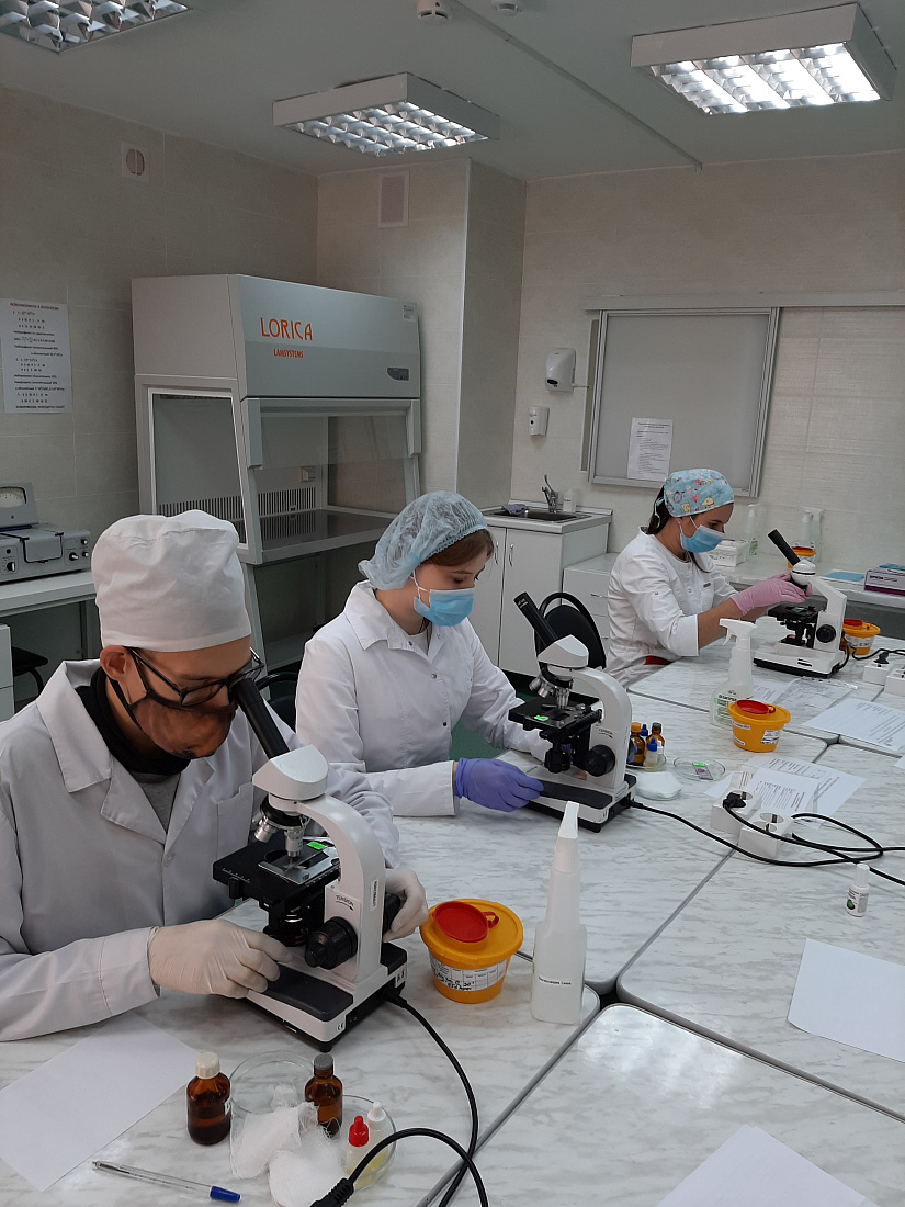 Отборочный этап IX открытого регионального чемпионата «Молодые профессионалы» (Worldskills Russia)