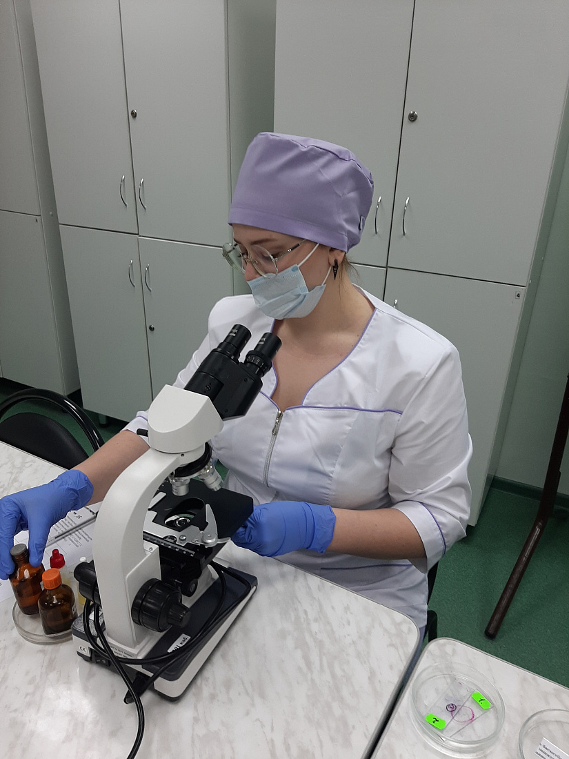 Х открытый региональный чемпионат «Молодые профессионалы» (WorldSkills Russia) в Ульяновской области