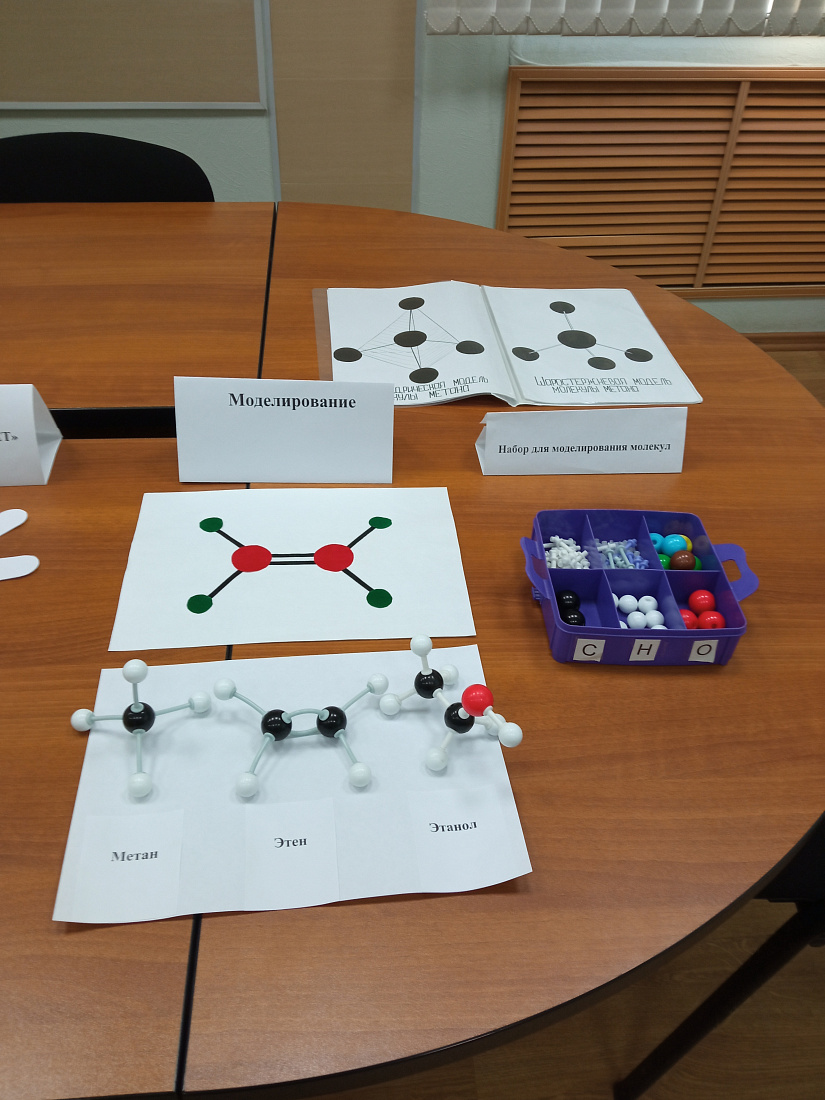 Занятие  в Школе педагогического мастерства 