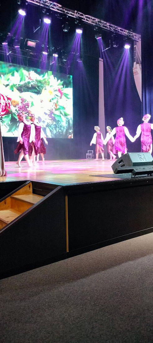 Концерт  творческих специальностей Ульяновского колледжа культуры и искусства