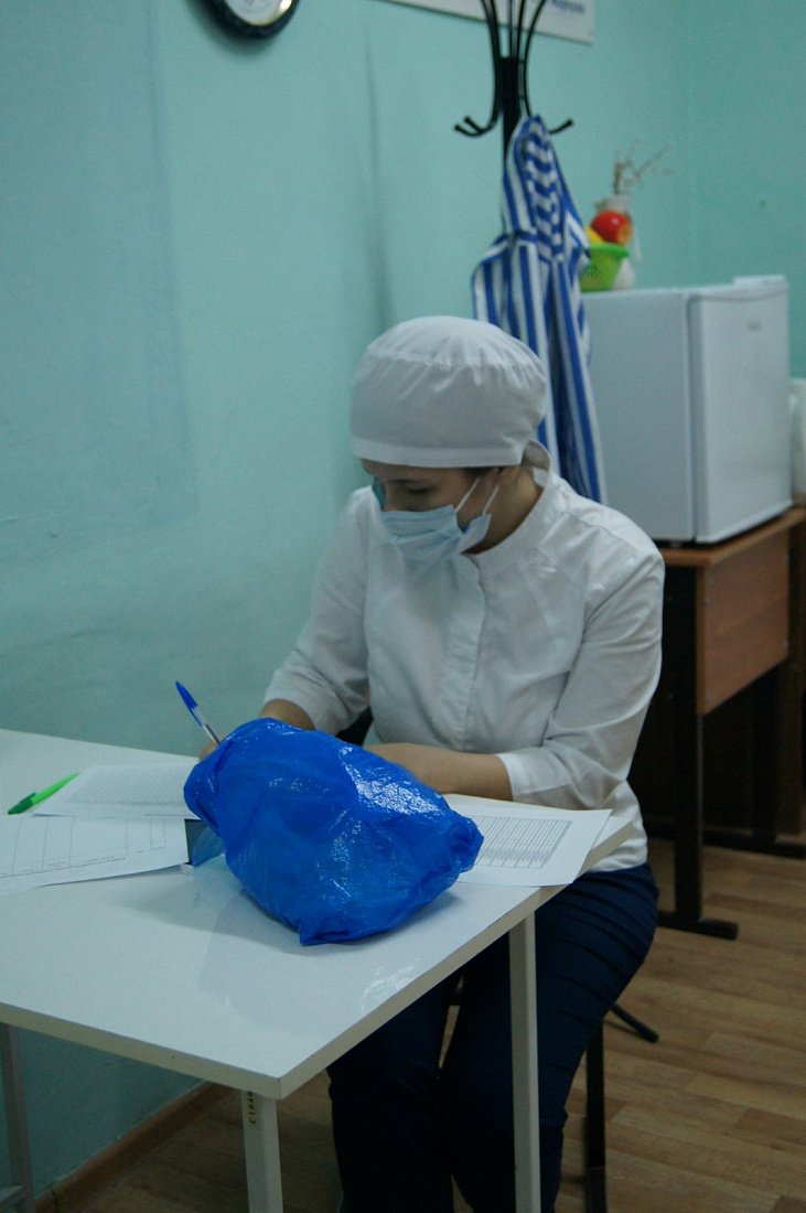 IX региональный чемпионат WorldSkills Russia «Молодые профессионалы». Компетенция «Медицинский и социальный  уход»