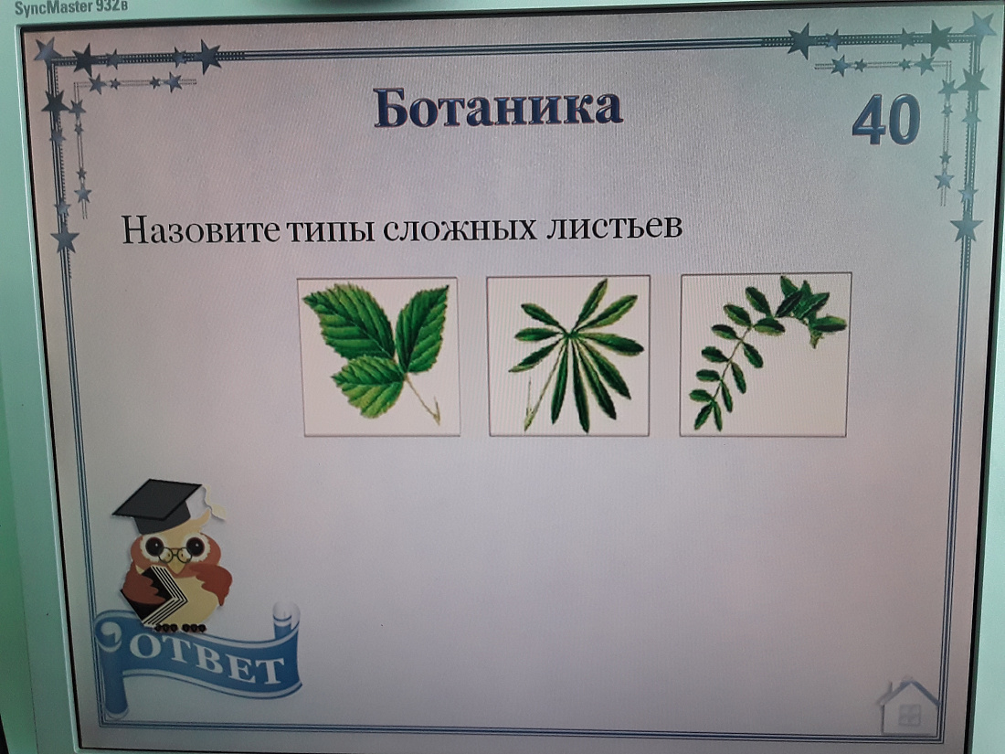 Декада специальности Фармация. Интеллектуальная игра «Умники и умницы»