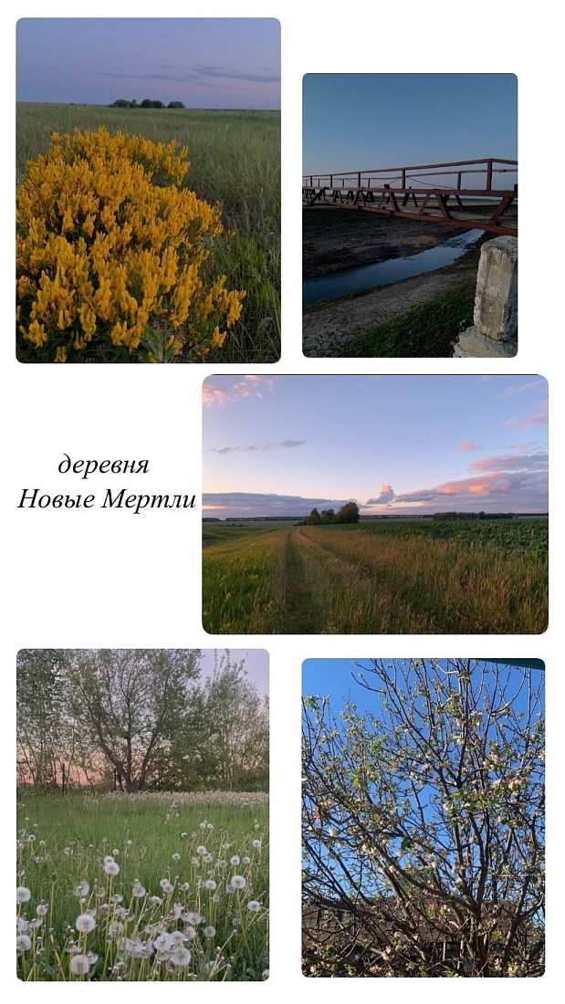 Итоги  конкурса  «Окружающий нас мир»