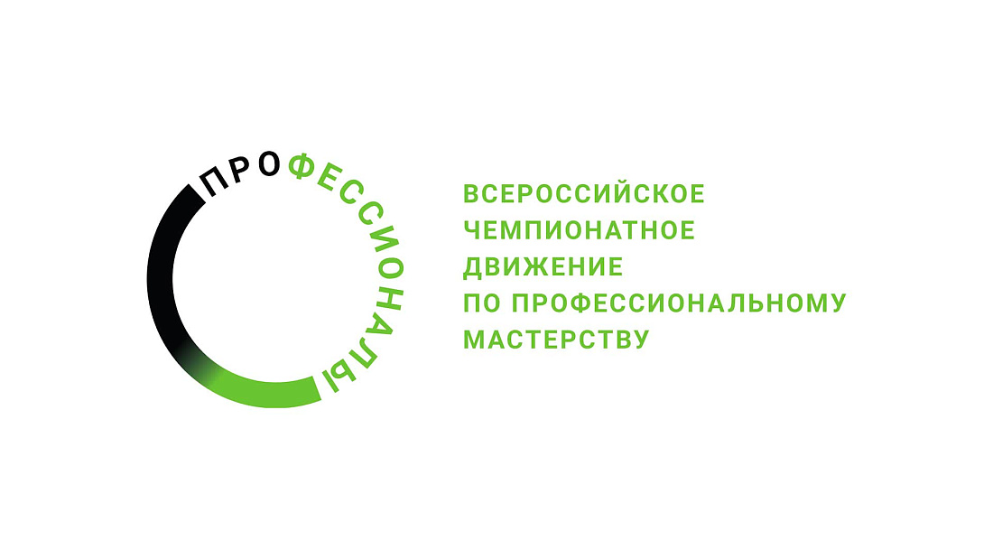 Отборочный этап регионального чемпионата по профессиональному мастерству «Профессионалы» 