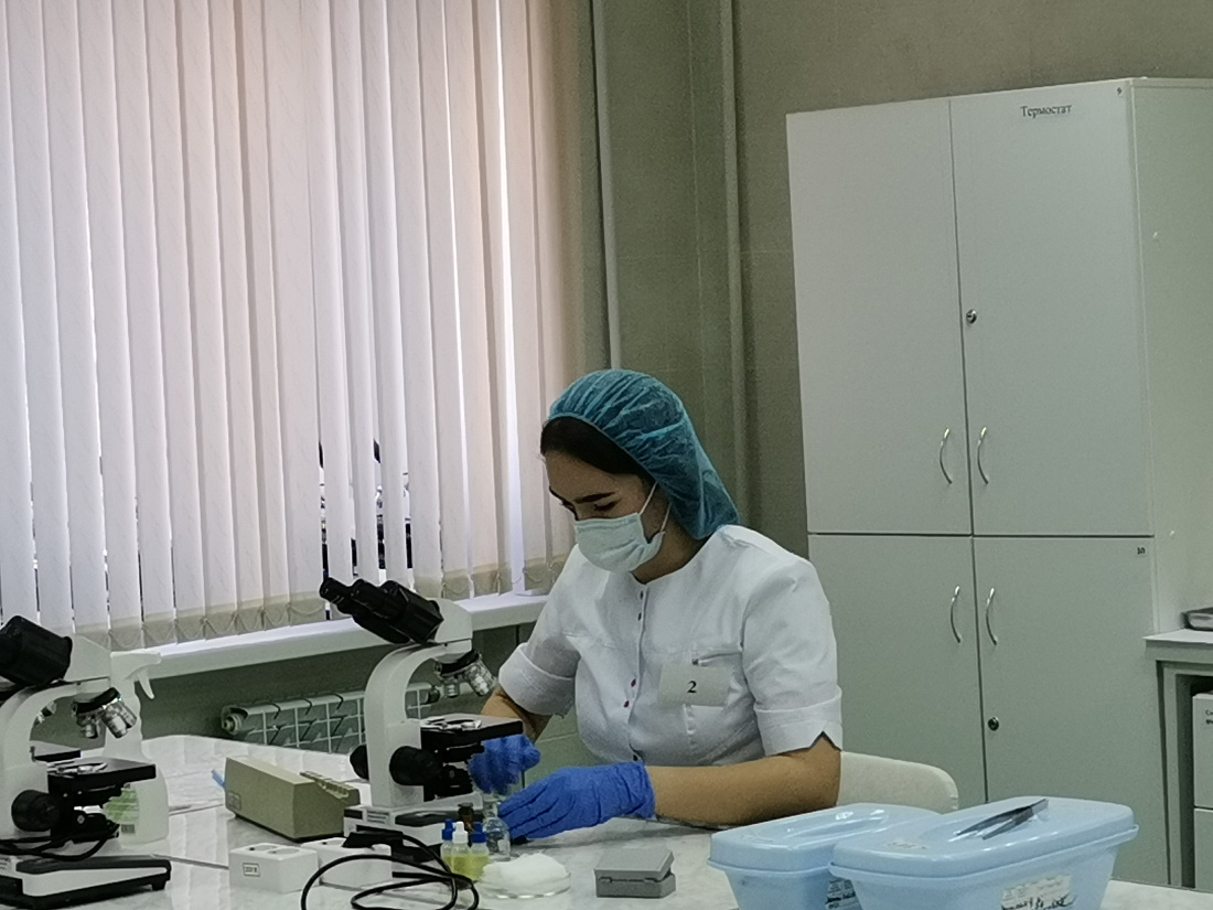 Областной конкурс профессионального мастерства «Мастер – золотые руки» по укрупненной группе специальностей СПО 31.00.00. Клиническая медицина