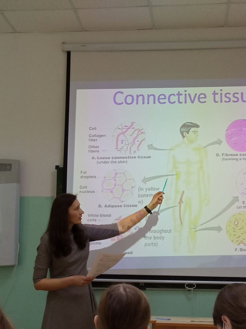 Открытое  занятие по английскому языку на тему «Ткани»